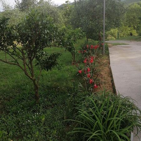 Apartman Petovic Kotor Kültér fotó