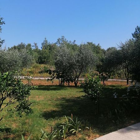 Apartman Petovic Kotor Kültér fotó