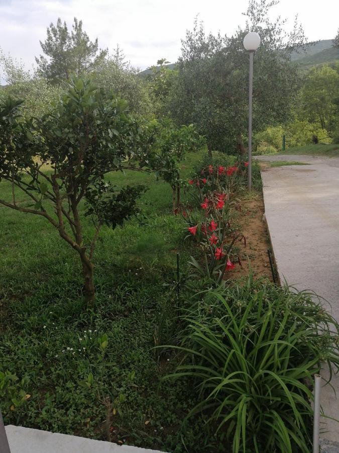 Apartman Petovic Kotor Kültér fotó