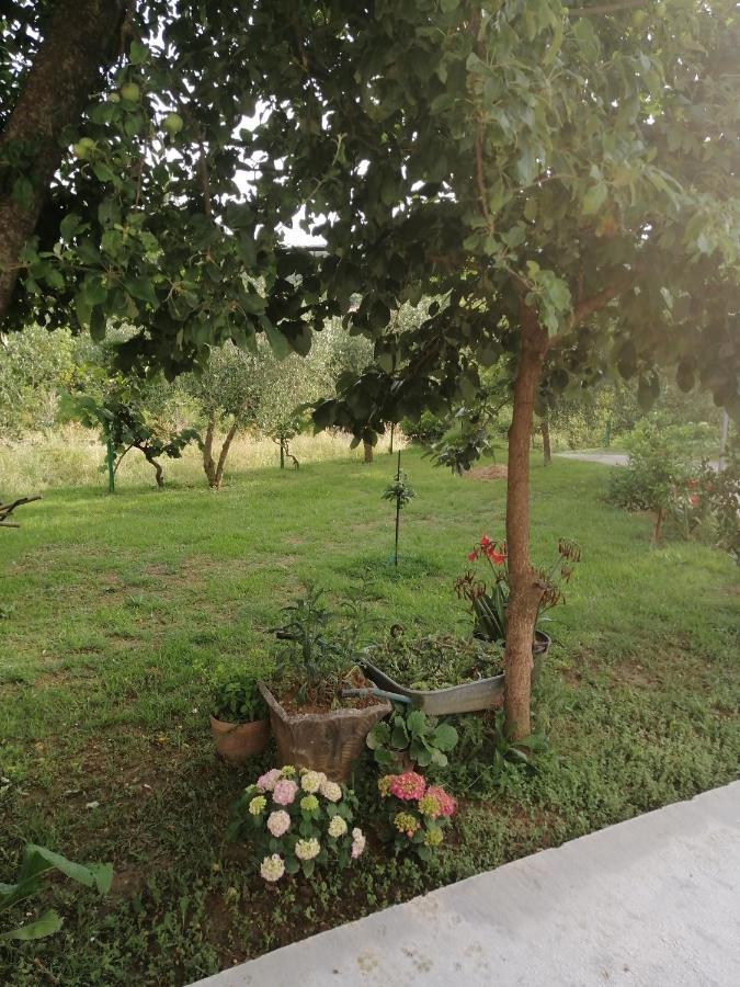 Apartman Petovic Kotor Kültér fotó