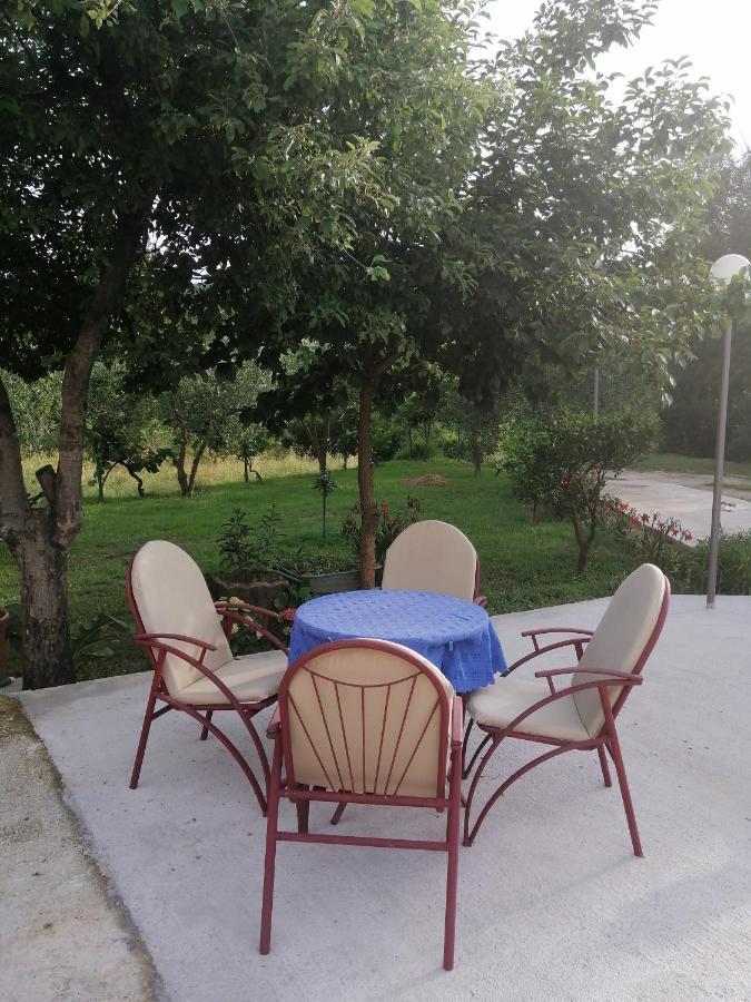 Apartman Petovic Kotor Kültér fotó